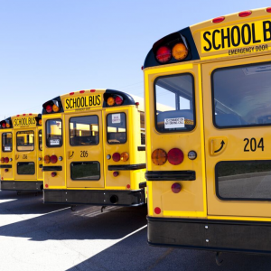 The best school district in every state