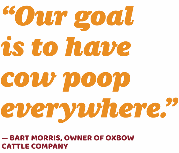 Oxbow feature quote