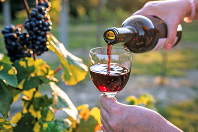 4 factors that make California wine different