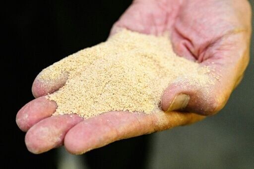 Thai scientist Wichien Yongmanitchai holds a microbial product he developed called Soil Digest, designed to eliminate the need for the burning of rice stubble