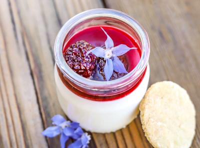 Yogurt panna cotta