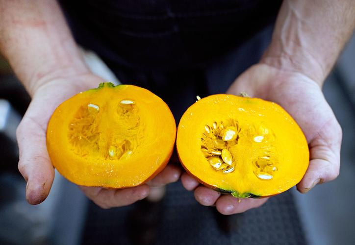 Steven Gedra with pumpkin