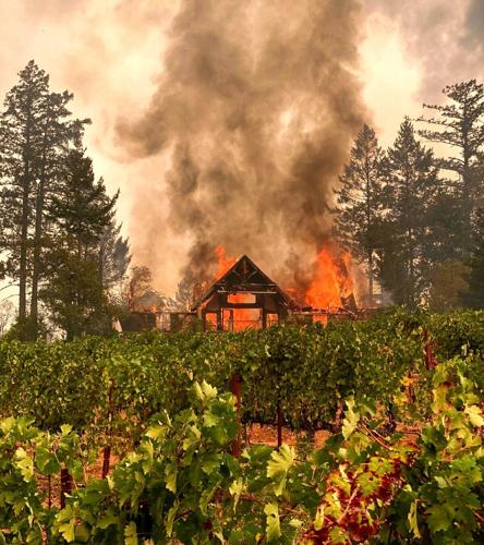 Sherwin Family Vineyards