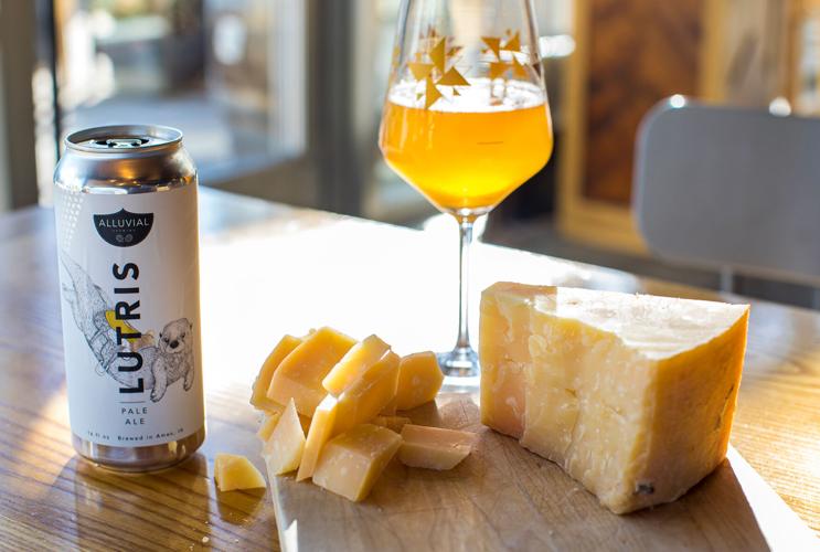 Cheese Beer Pairing 3