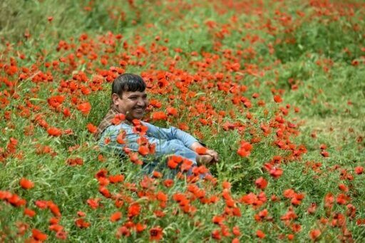 An Afghan man posing for a photo in a poppy field in the Jalayer Valley