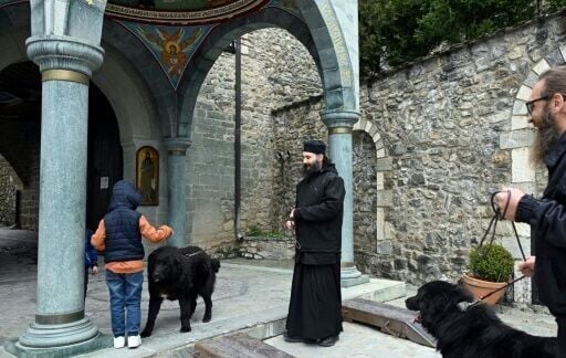 The Karaman has won provisional recognition as an indigenous breed from the International Canine Federation (FCI)