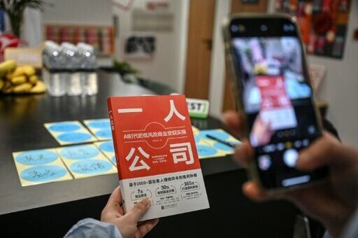 A photo of the book "One Person Company" in Shanghai