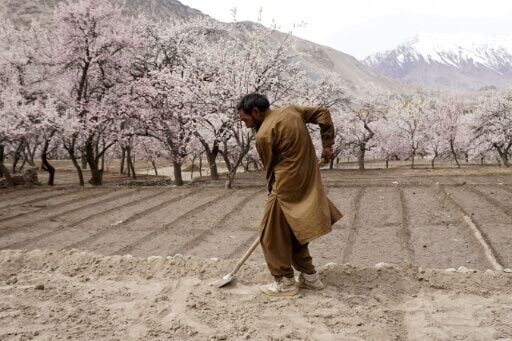 In Pakistan, spiking fertilizer prices due to the war on Iran could have a serious impact on food security