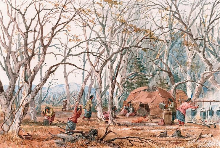 Maple syrup history
