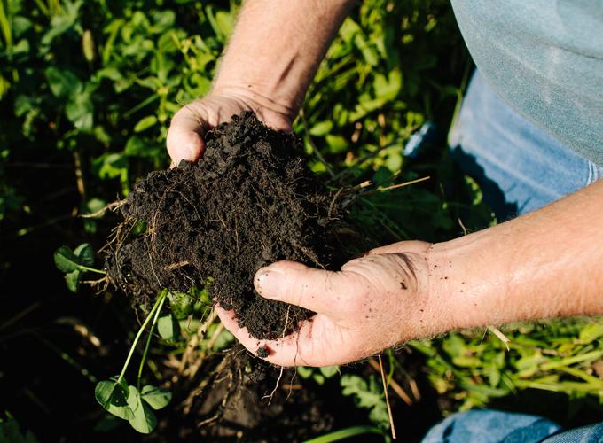 Janie's Farm soil