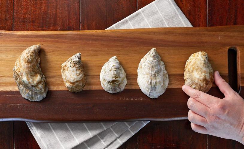 Oyster lineup