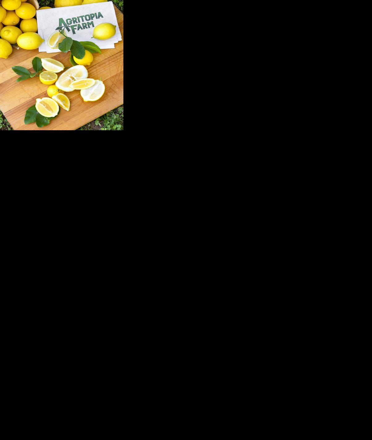 Agritopia lemons