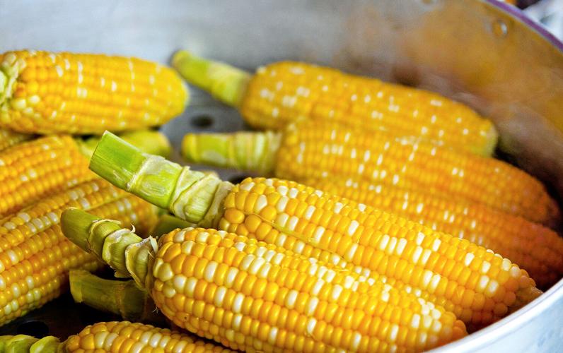 Sweet corn