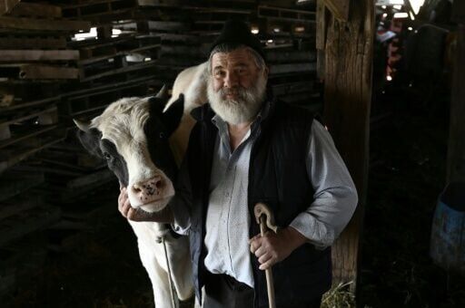 Kostas Theofilou: 'What job can I do now?'