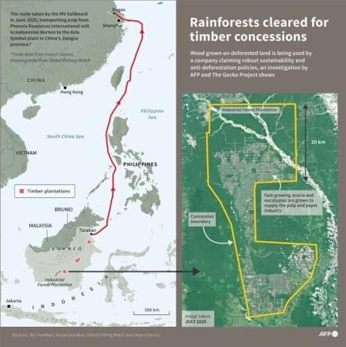 Rainforests cleared for paper and pulp