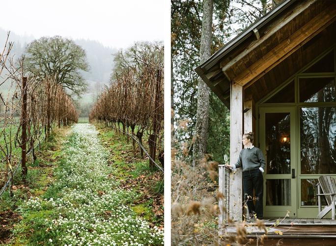 Soter vineyard 2