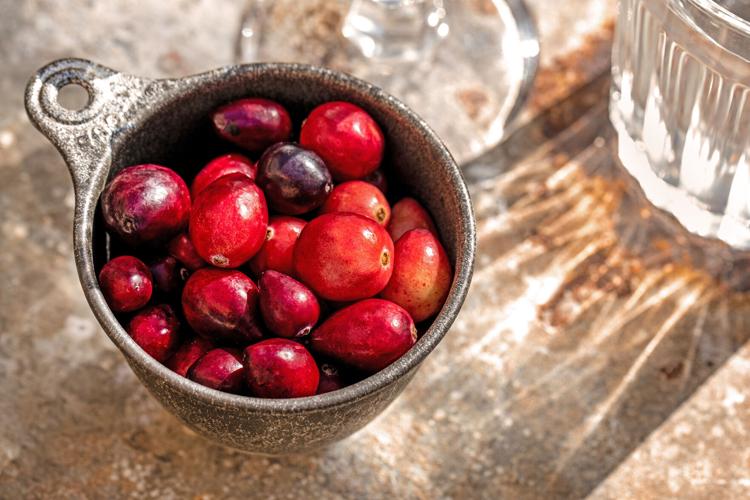 Cup of cranberries