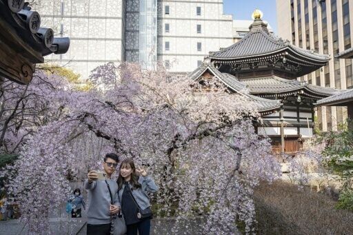 People take selfies with cherry blossoms at Rokkakudo temple in Kyoto for the fleeting bloom