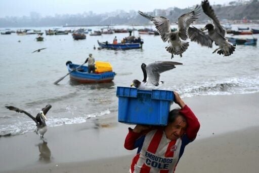 A fisherman carries a box with fish at Chorrillos beach in Lima on April 11, 2026, on the eve of the presidential election.