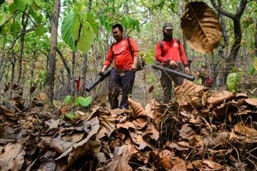 Volunteer firefighters use leaf blowers to create fire breaks in a forest in Pai