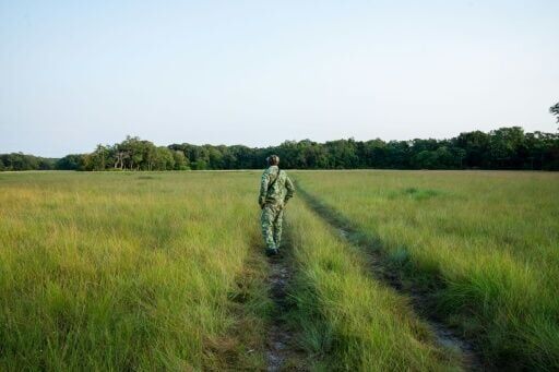 'If there are turtles, it means our ecosystem is sound and healthy,' said Francois Boussamba, a Gabonese turtle expert
