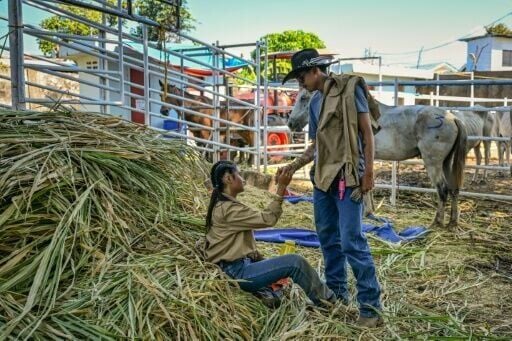 Keziah Ramonal takes a rest after competing in the carambola event