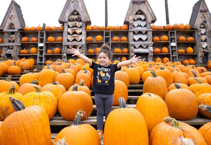 Child at Great Pumpkin farm