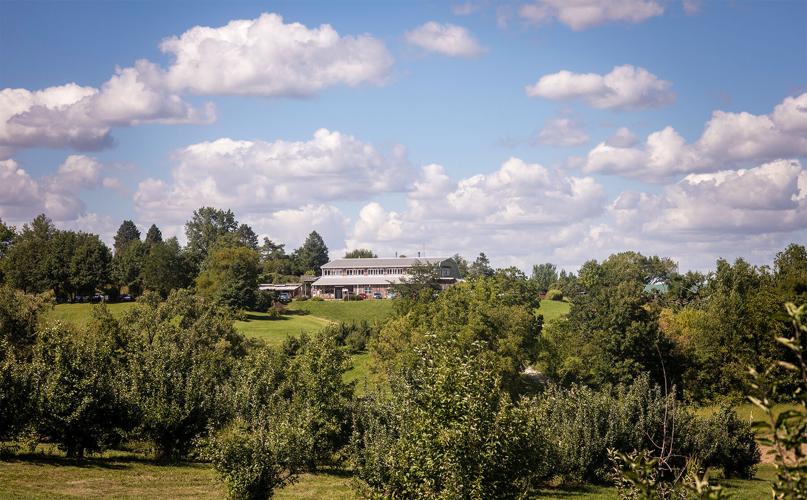 Wilson's Orchard scenic