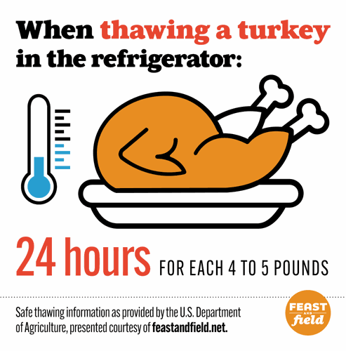 Thawing a turkey