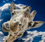 This is the block title