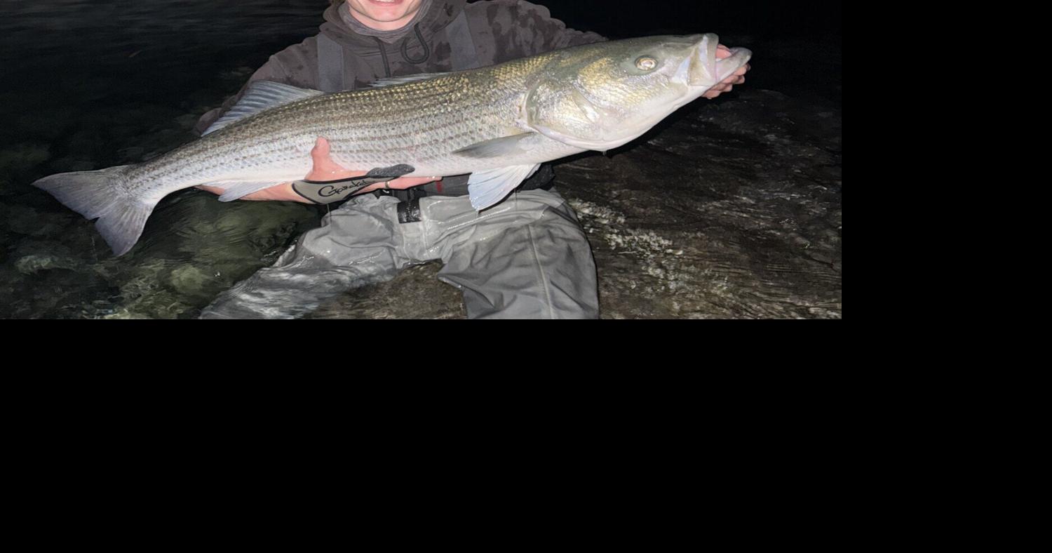 Favorite places to catch spring striped bass | Sports Columns ...