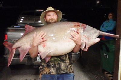 Man hooks state-record paddlefish in Table Rock Lake, News