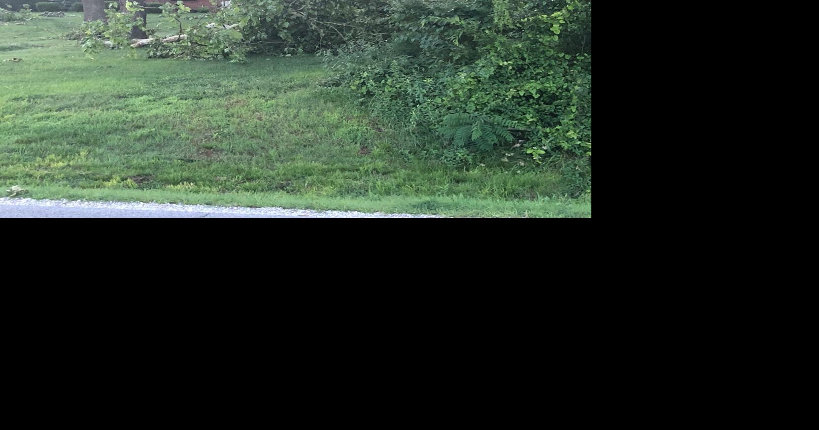 MDC shares tree care tips following storm in Joplin area