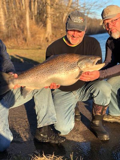 A Complete Boss Neosho Man Catches State Record Brown Trout In