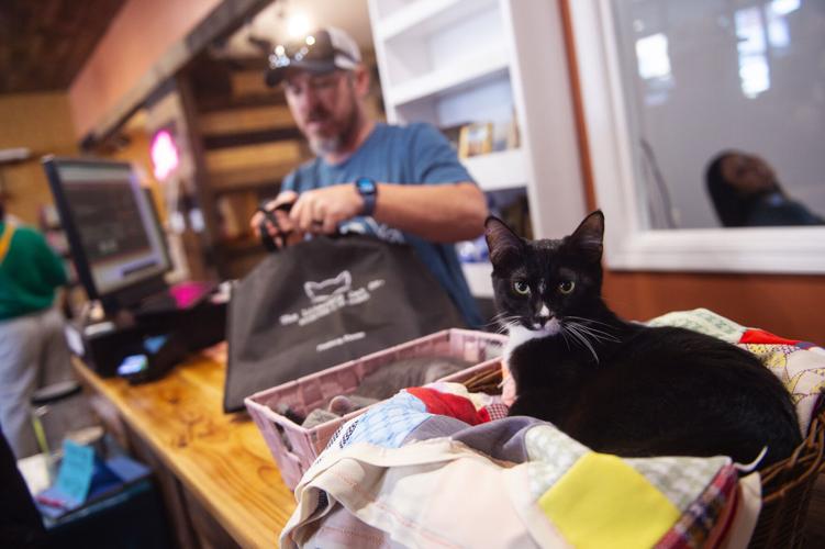 Cat lovers, book lovers come together at new Pittsburg store