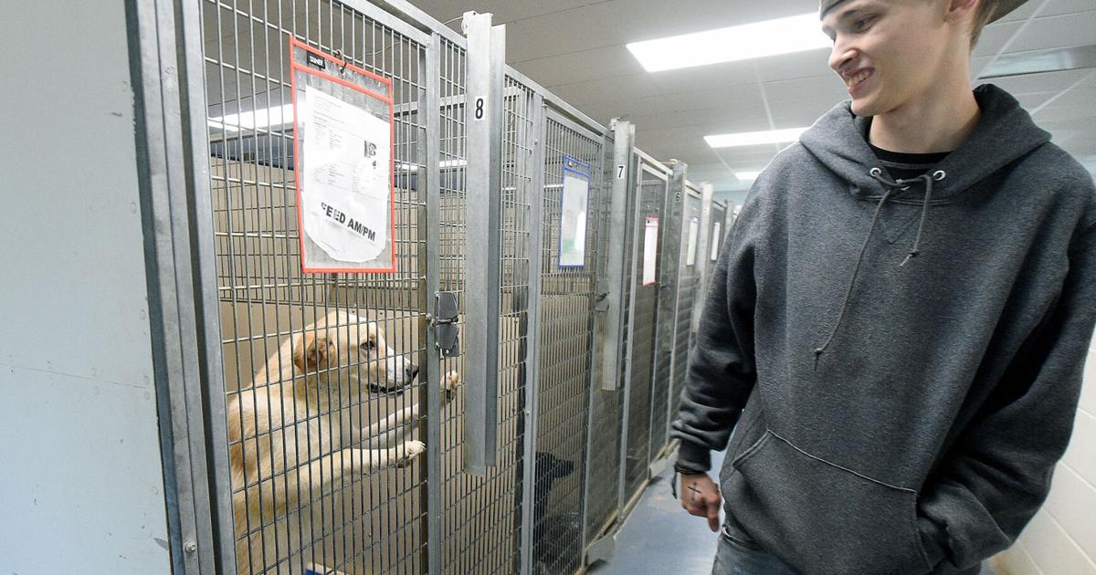 Carthage, other local shelters seeing influx of unwanted animals | News | Carthage, other local shelters seeing influx of unwanted animals | News |