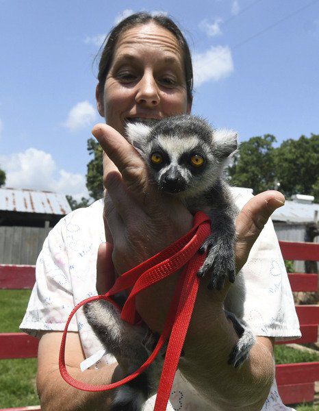 Kevin McClintock: Local exotic petting zoo offers something new to families with children