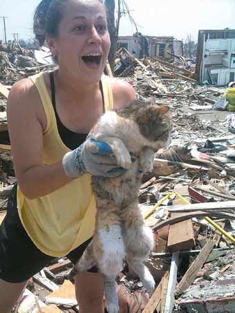 Cat Who Survived Tornado Is Found Sitting on Pillow Amongst Debris