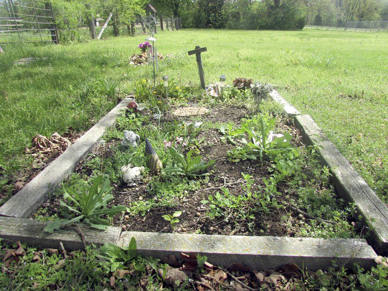 green pastures pet crematorium