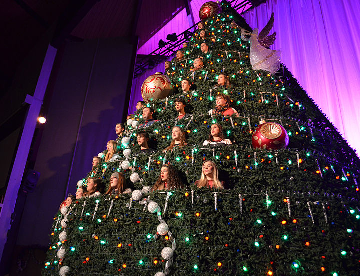 Slideshow "A Strand of Pearls" Living Christmas Tree at OCC