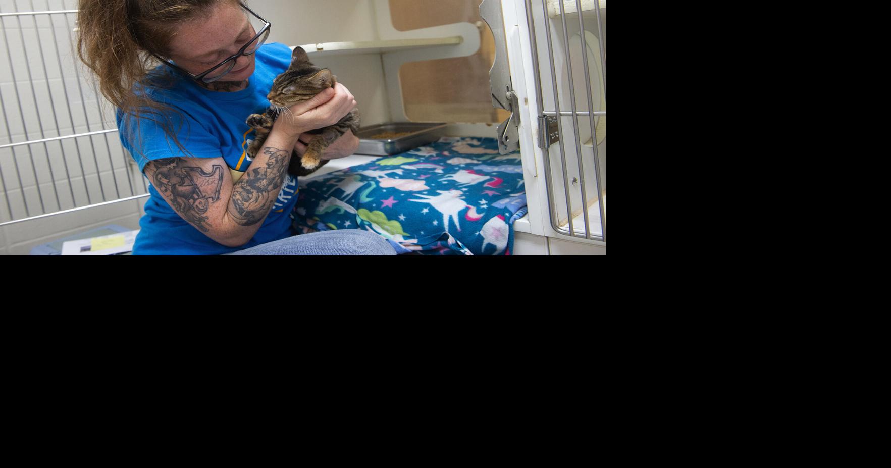 Joplin Humane Society sees large volume of available pets Local News