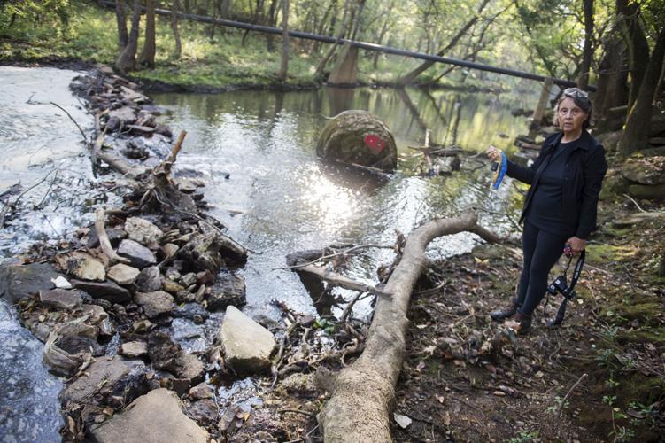 Letter: Stoney Creek 'too polluted' for wildlife, says teen streamkeeper -  Tri-City News