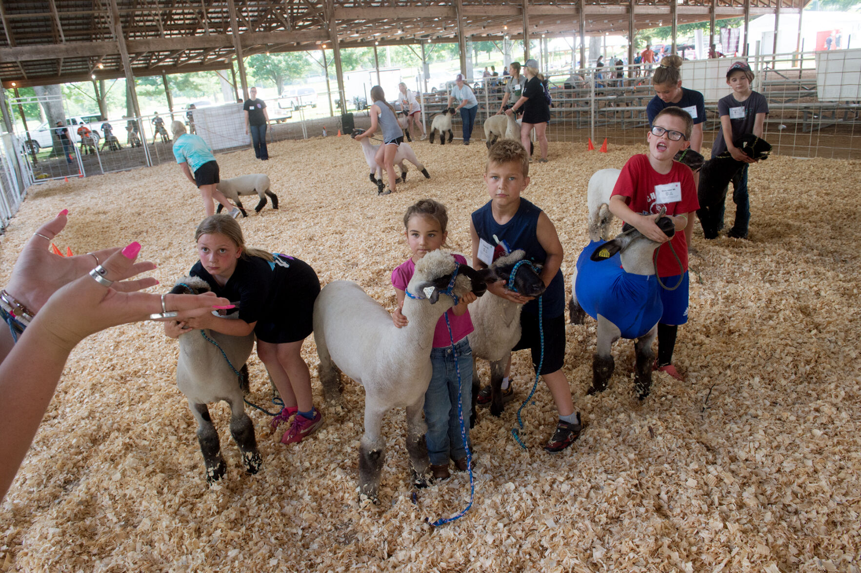 Families gather in Carthage for youth agriculture show camp | Local ...