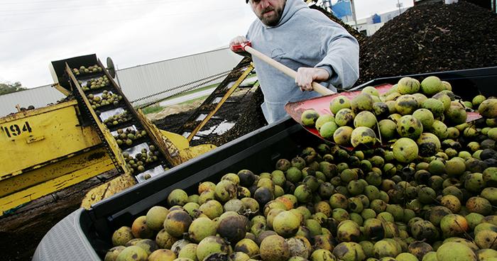 Bill Caldwell: Ralph Hammons found black walnuts to be black gold - Vimarsana News