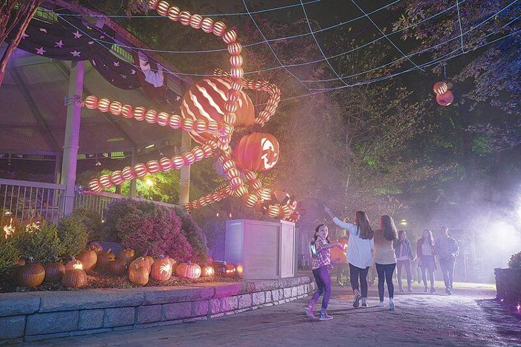 Silver Dollar City goes 'orange' in October | Lifestyles ...
