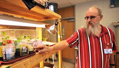 Birds And The Seeds Chickens Help Keep An Organic Vegetable Garden Free Of Bugs Lifestyles Joplinglobe Com