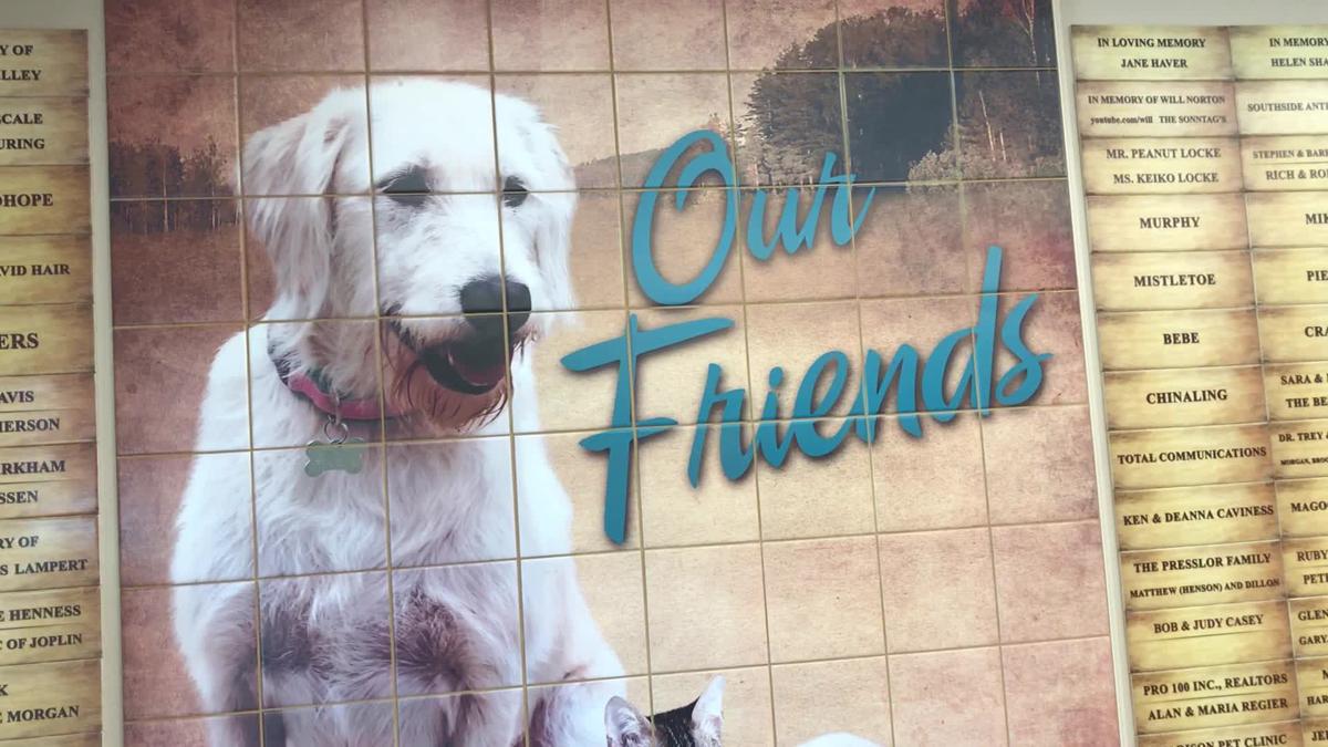 Joplin Humane Society Overflowing With Dogs Multimedia Joplinglobe Com