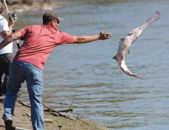 Snagging ancient spoonbills a spring ritual in Oklahoma, Archives