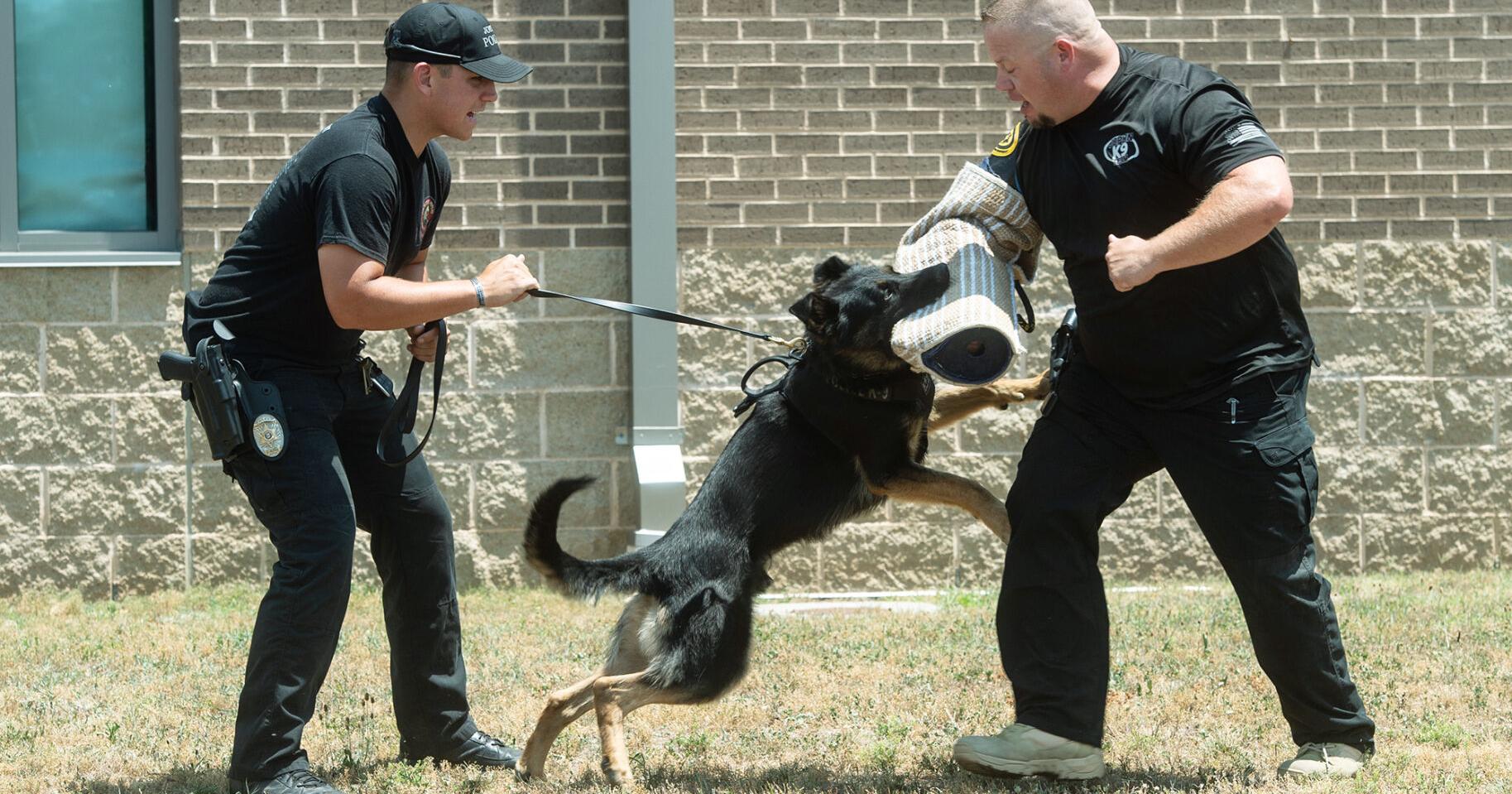 Joplin Police Department introduces 2 new K-9s - Vimarsana News