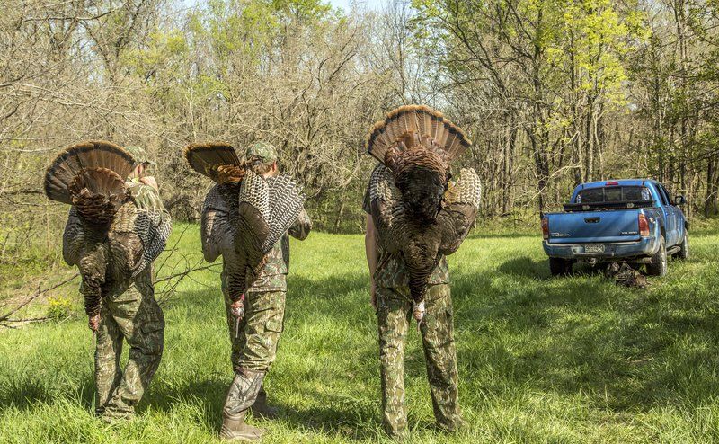 Hunting Trio